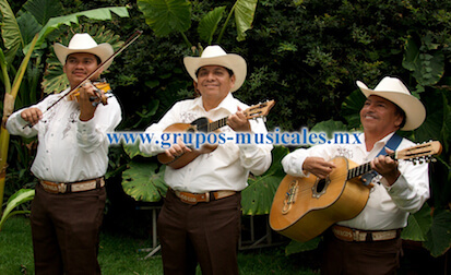 CONTRATACIÓN DE TRÍOS HUASTECOS EN CDMX