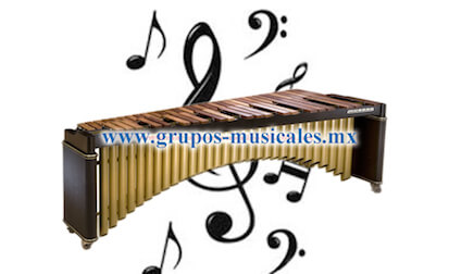 GRUPO MARIMBA PARA FIESTAS EN CDMX